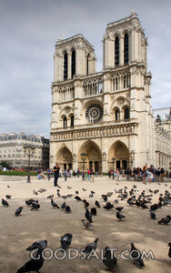 Notre-Dame Cathedral Square