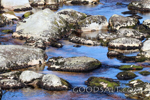 Brook Among the Stones