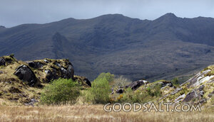Hills of Refuge