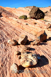 Stones in the Wilderness