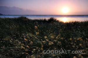 Sunset Over Coastal Dunes
