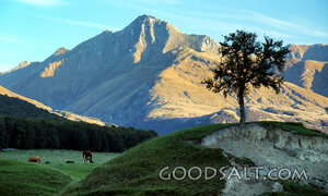 Pasture Beneath the Mountain of the Lord