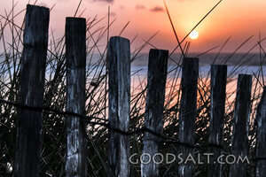 Sunset Beyond the Dune Fence