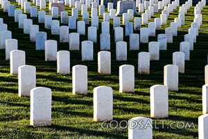 Rows of Honor in the Veterans Cemetery