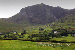 Mountain Pasture Under God’s Care