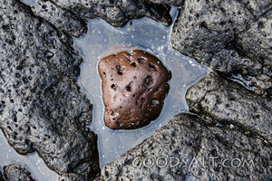 Stone in Shallow Waters