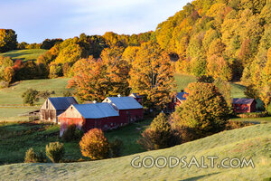 Autumn Farm in God’s Harvest