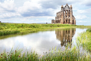 Abbey Ruins Beside Still Waters