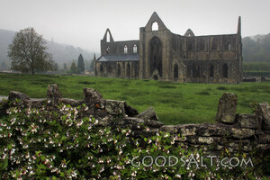 Gothic Abbey in the Mist