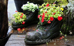 Renewal in Worn Boots