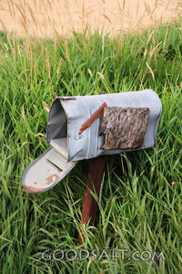 Rural Mailbox in Tall Grass