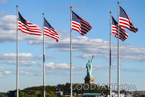Liberty Beneath the American Flags