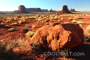 Rock of Refuge in the Wilderness