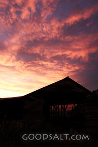 Shelter Beneath the Evening Heavens