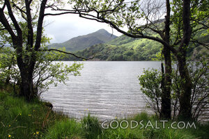 Still Waters Beneath the Hills