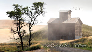 Country Harvest Barn at Morning Light