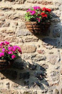 Flowers on the Parish Stone Wall