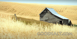 Barn in the Wheat Harvest