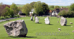 Ancient Stones in the Village Meadow