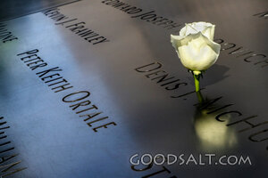 White Rose of Remembrance