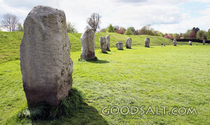 Ancient Standing Stones in Green Pasture