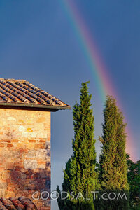 Rainbow of the Covenant