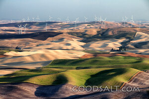 Stewardship Over Rolling Fields