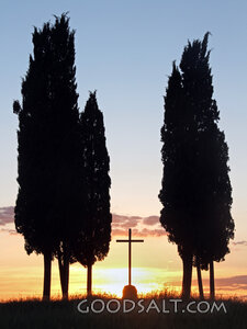 Cross at Sunset Among Cypress Trees