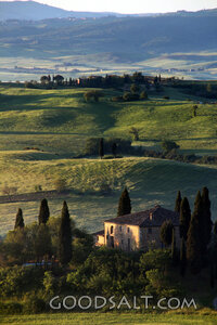 Quiet Hillside Sanctuary