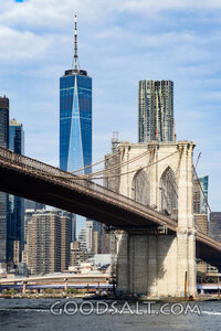 Brooklyn Bridge and One World Trade Center