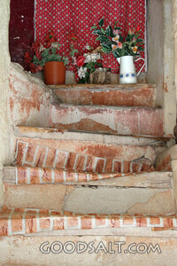Flowers on the Old Stair