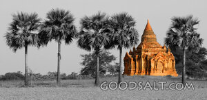 Ancient Temple Among Palms