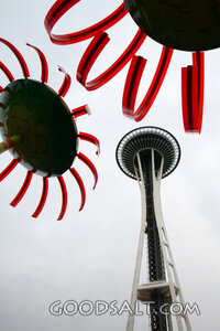 Space Needle Beneath Crimson Glass