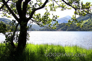 Still Waters Beneath the Mountain