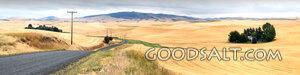 Road Through the Harvest Fields