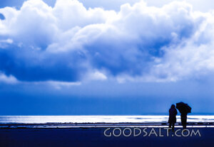 Shelter at the Stormy Shore