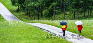 Rainy Walk on the Faithful Road