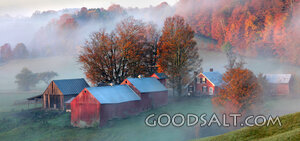 Autumn Farm in Morning Mist