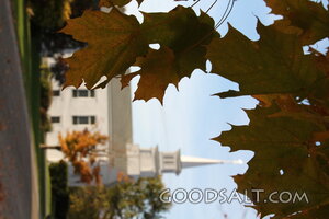Autumn Leaves at the Church Steeple