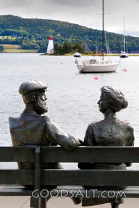Companions by the Harbor