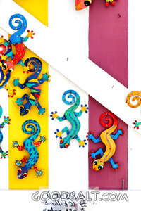 Colorful Gecko Wall Decor