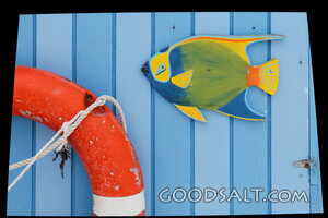 Tropical Fish and Lifebuoy