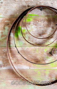 Coiled Scourge on Weathered Wood