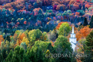 Autumn Church Steeple in the Forest