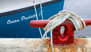 Mooring Rope at the Harbor