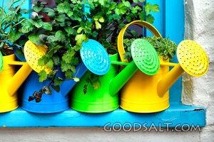 Watering Cans for the Garden