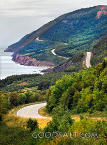 Winding Coastal Road Through the Hills