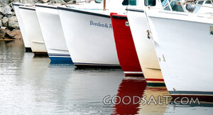 Boats Resting in the Harbor