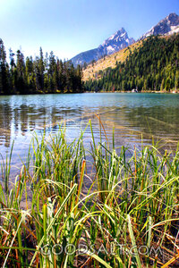 Still Waters Beneath the Mountains