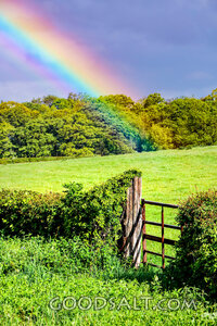 Covenant Rainbow Over the Meadow